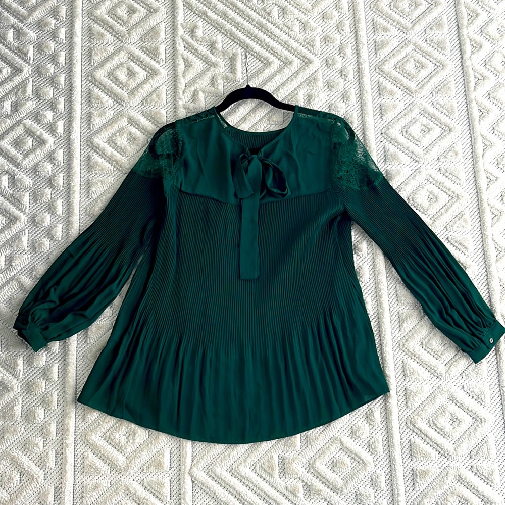 Stunning Adrianna Papell pleated blouse